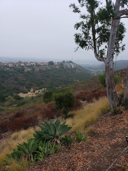 Rueda Canyon