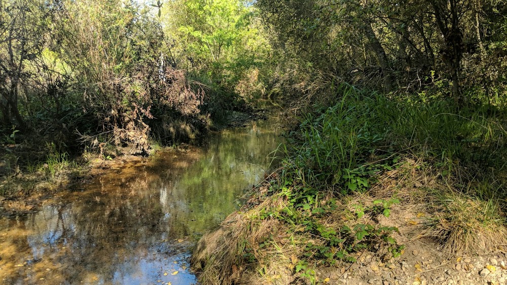 San Clemente Canyon
