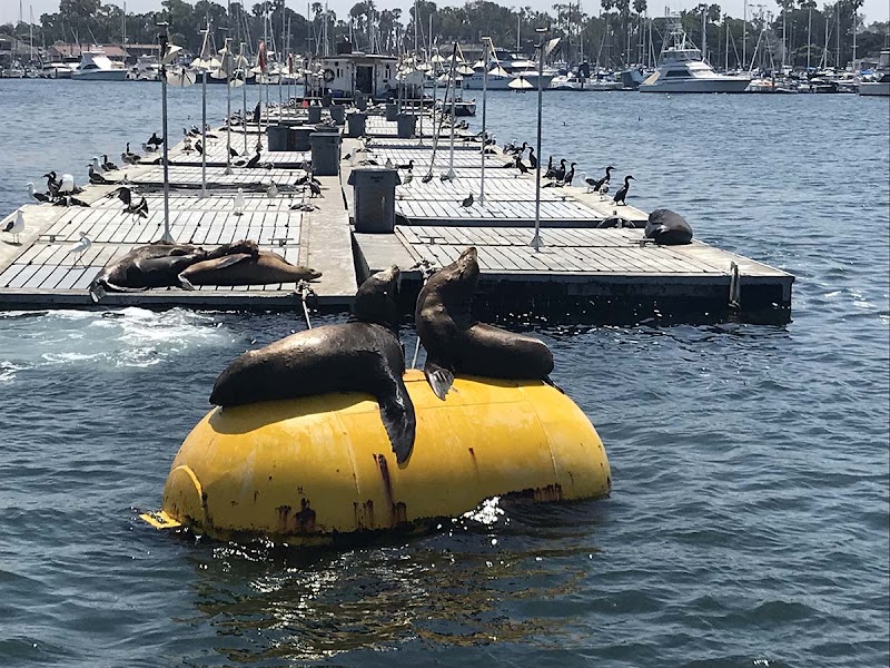 San Diego Boat Tours