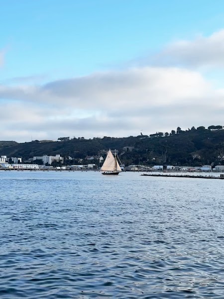 San Diego Sailing Adventures - Sail Liberty