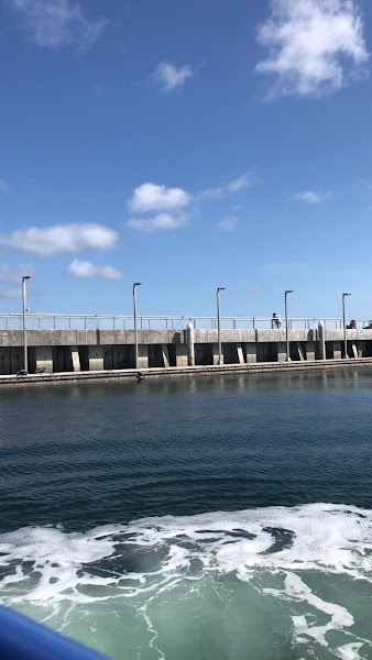 San Diego Seal Tours