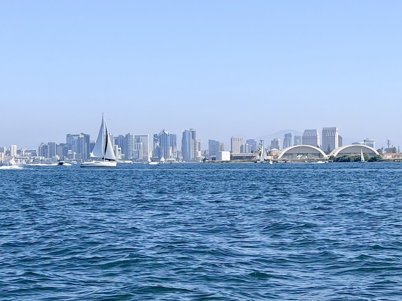 San Diego Seal Tours