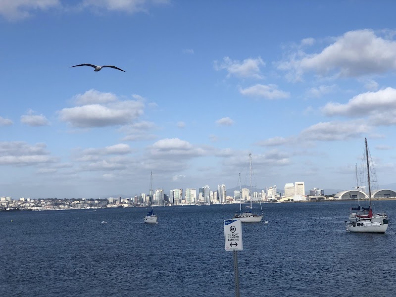 San Diego Seal Tours