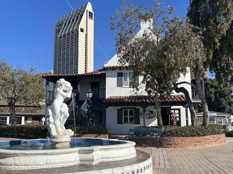 San Diego Surf Co.