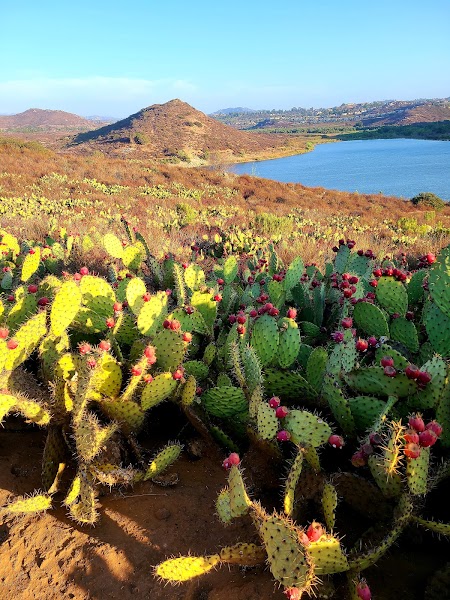 San Dieguito River Trail