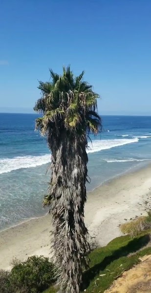San Elijo State Beach