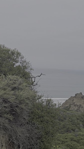 San Onofre Beach Campground