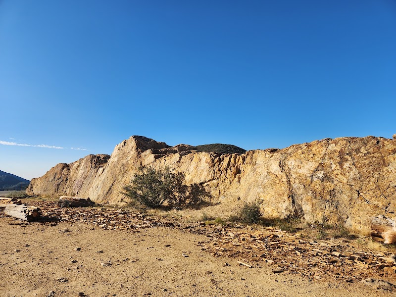 Scenic View