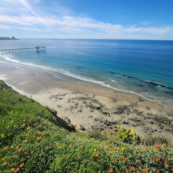 Scripps Coastal Meander Trailhead