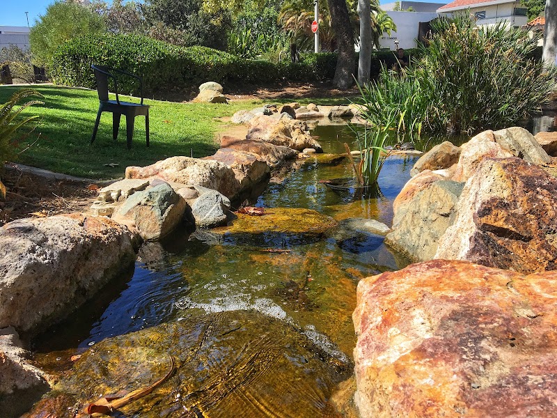 SDSU Turtle Pond