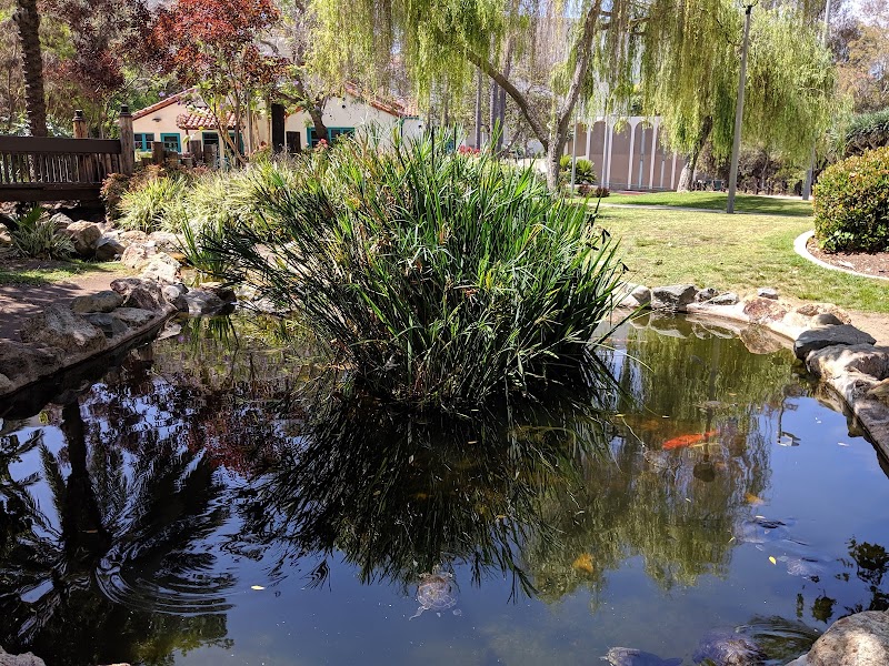 SDSU Turtle Pond