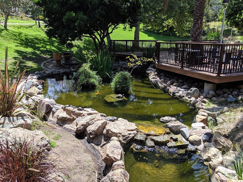 SDSU Turtle Pond
