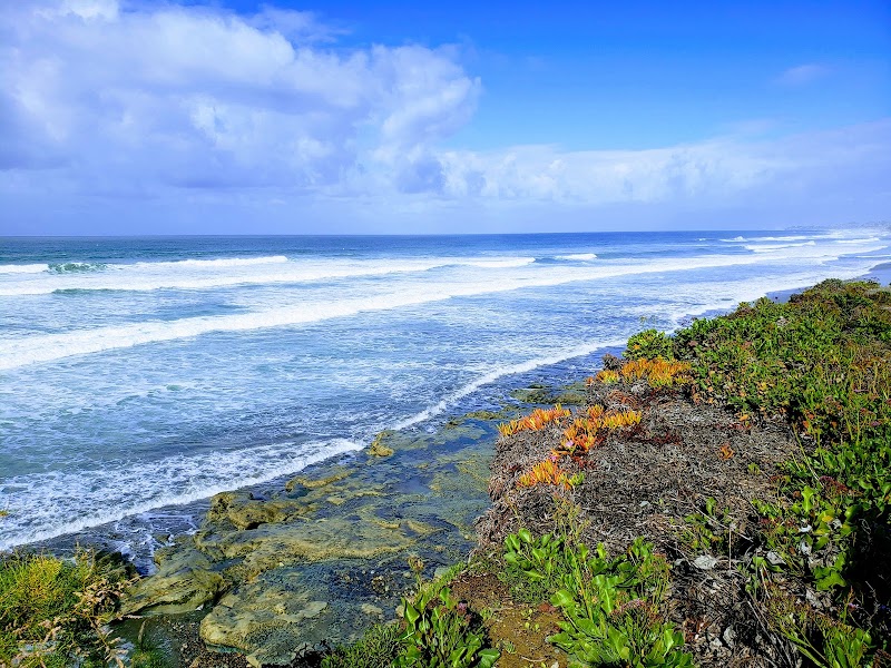Sea Grove Park