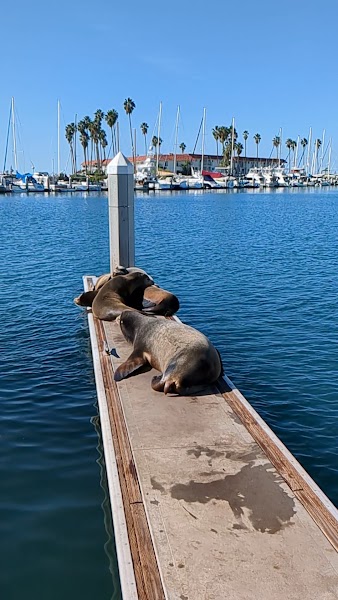 Sea Lion Island