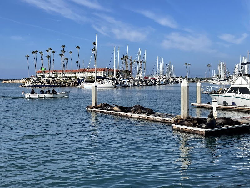 Sea Lion Island