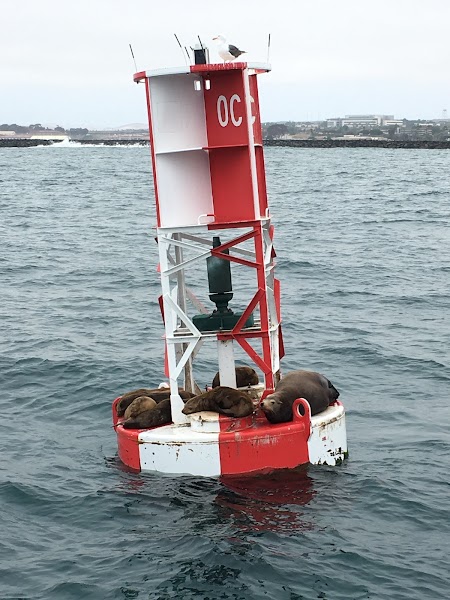 Sea Star Fishing Charters