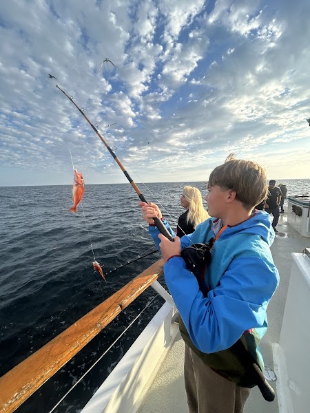 Seaforth Sportfishing