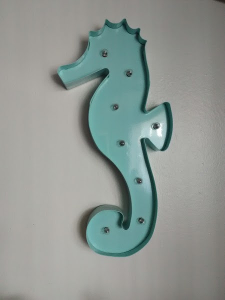 Seahorse Surf Academy
