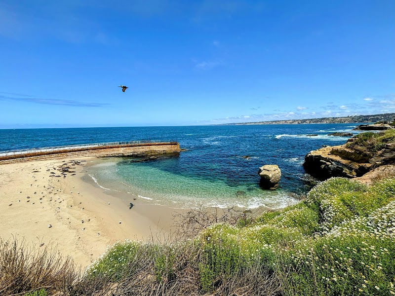Seal Rock