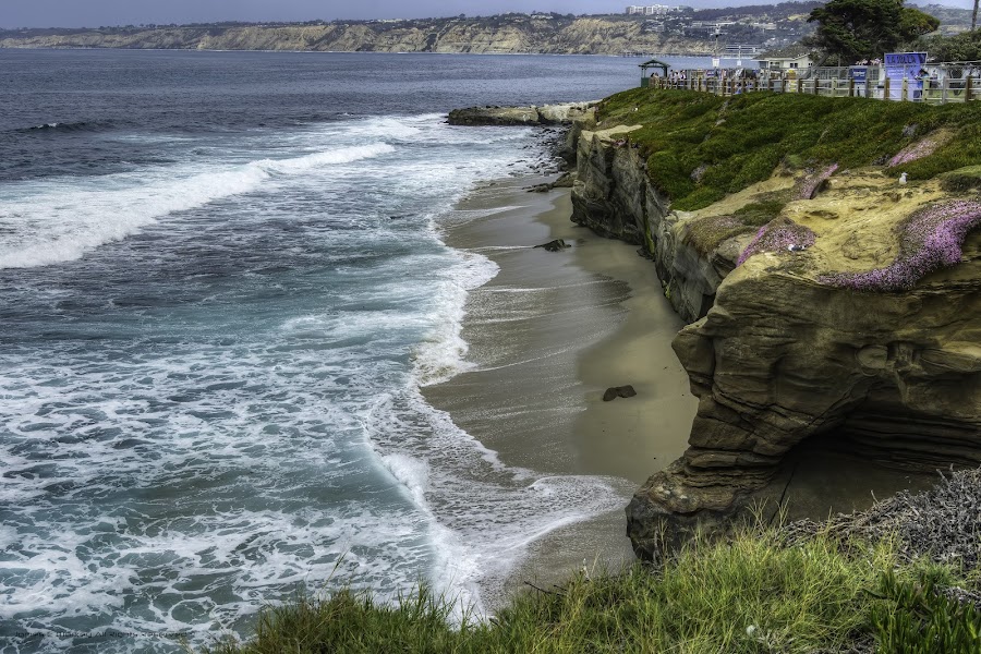 Seal Rock