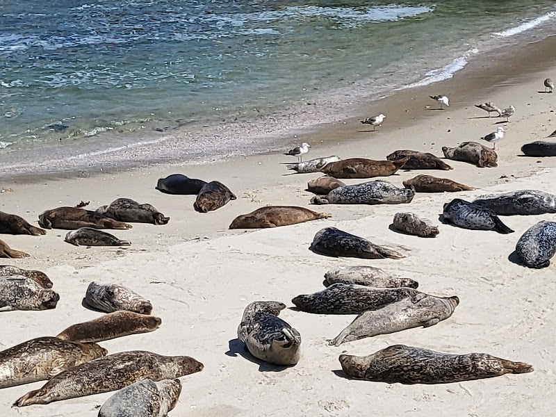 Seal Rock