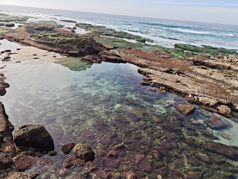 Seal Rock