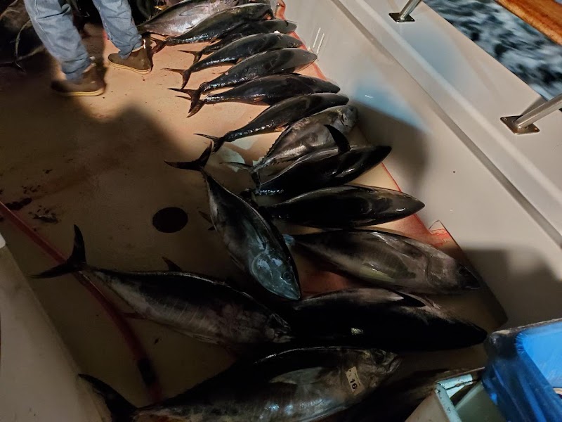 Searcher Sportfishing