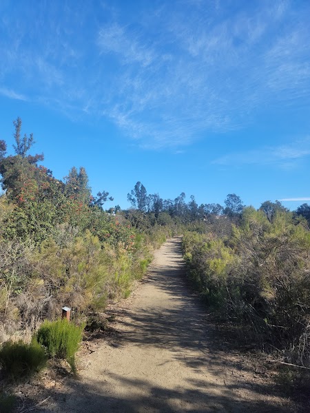 Shepherd Canyon