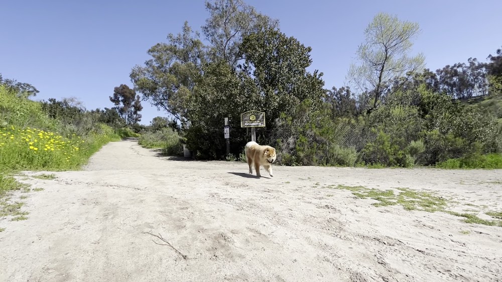 Shepherd Canyon