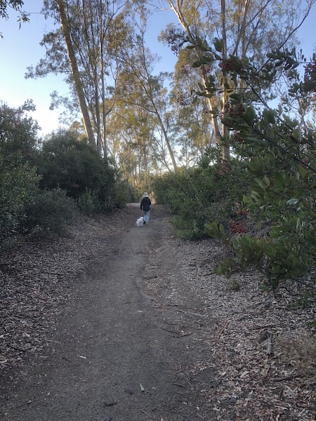 Shepherd Canyon