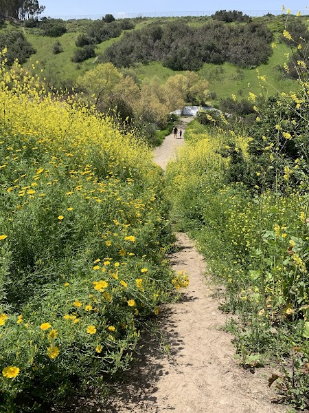 Shepherd Canyon