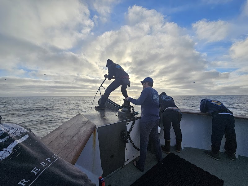 Shogun Sportfishing