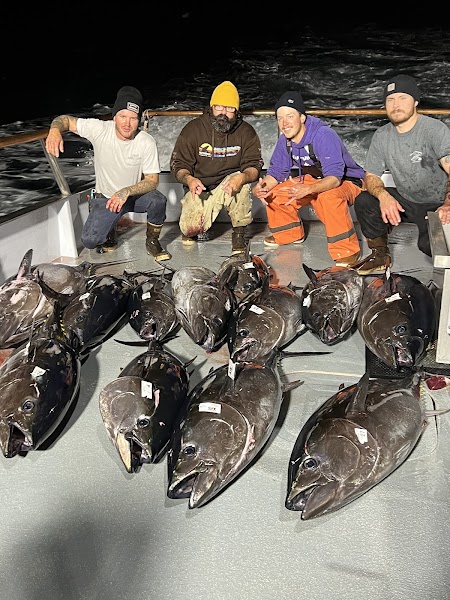 Shogun Sportfishing