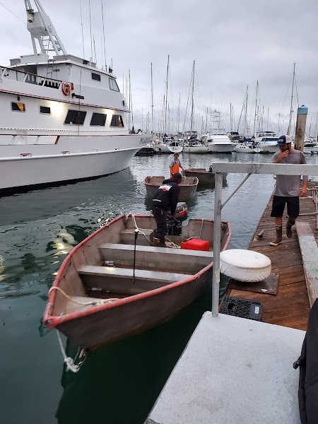 Shogun Sportfishing