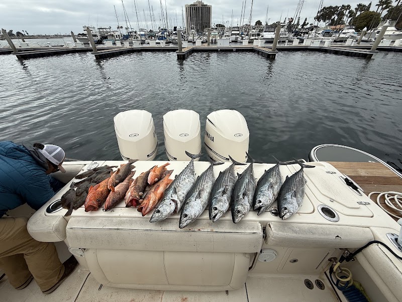 Silva Scales n Tales Sportfishing llc