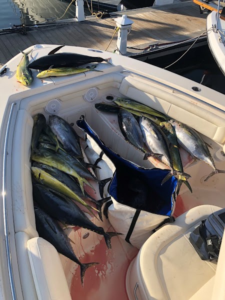 Silva Scales n Tales Sportfishing llc