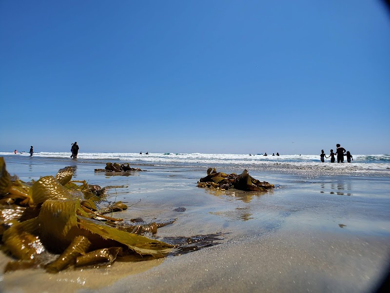 Silver Strand State Beach