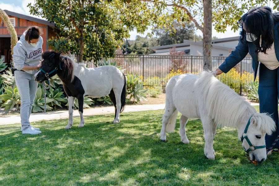 Silverado Encinitas Memory Care Community