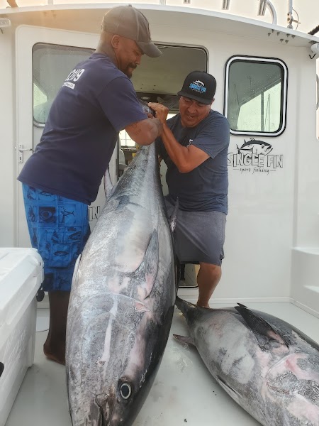 Single Fin Sport Fishing