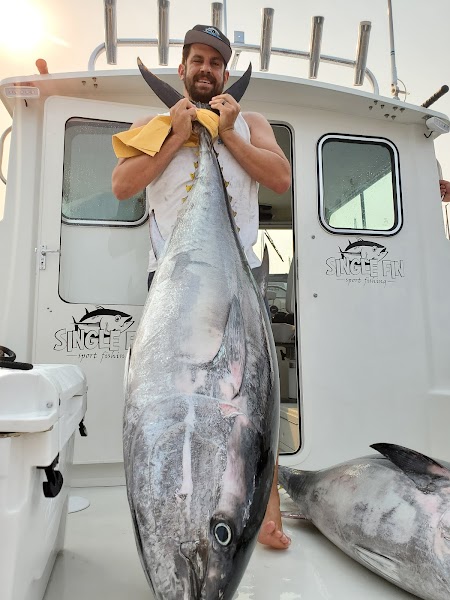 Single Fin Sport Fishing