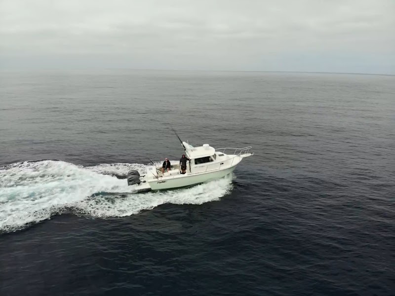 Single Fin Sport Fishing