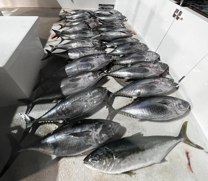Six Pack Fishing