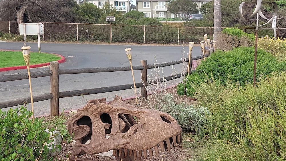 South Carlsbad State Beach Campground