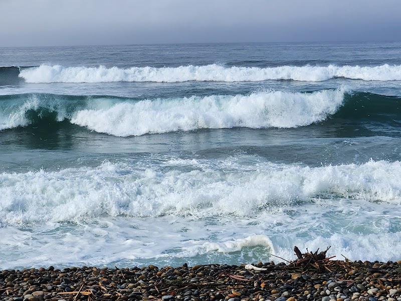 South Carlsbad State Beach Campground