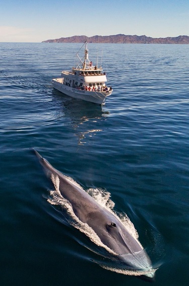 Spirit of Adventure Charters