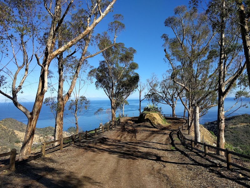 Stagecoach Viewpoint