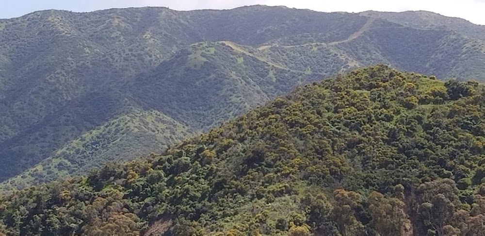 Stagecoach Viewpoint