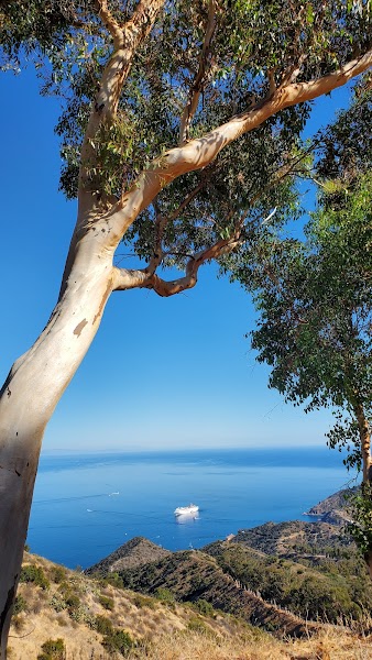 Stagecoach Viewpoint