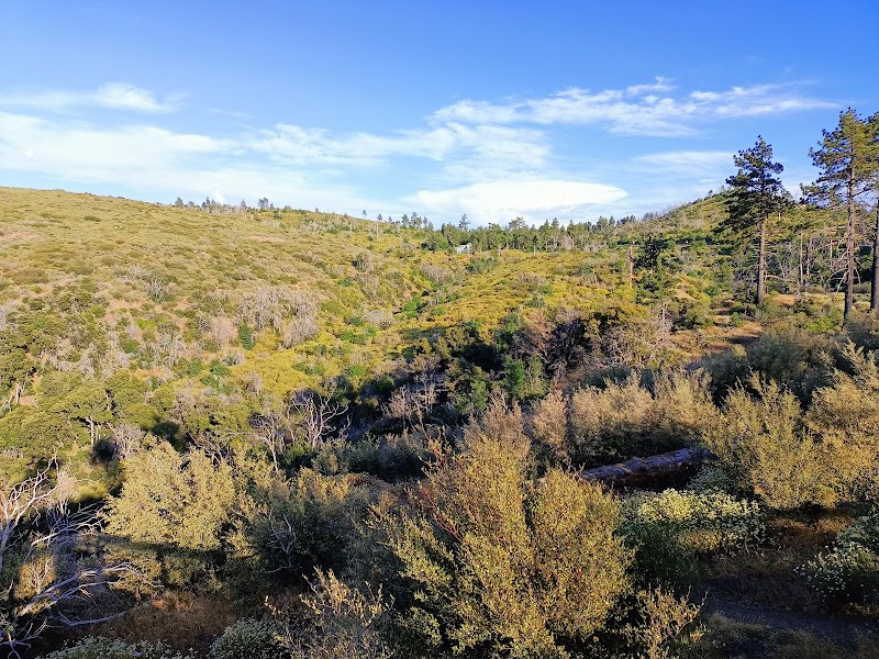 Storm Canyon Vista Trailhead
