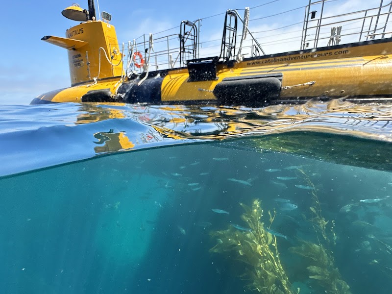 Submarine & Land Tours -Catalina Adventure Tours